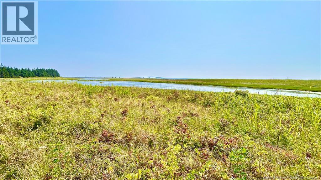 Lot Miscou Harbour, Miscou, New Brunswick  E8T 2E6 - Photo 19 - NB124093