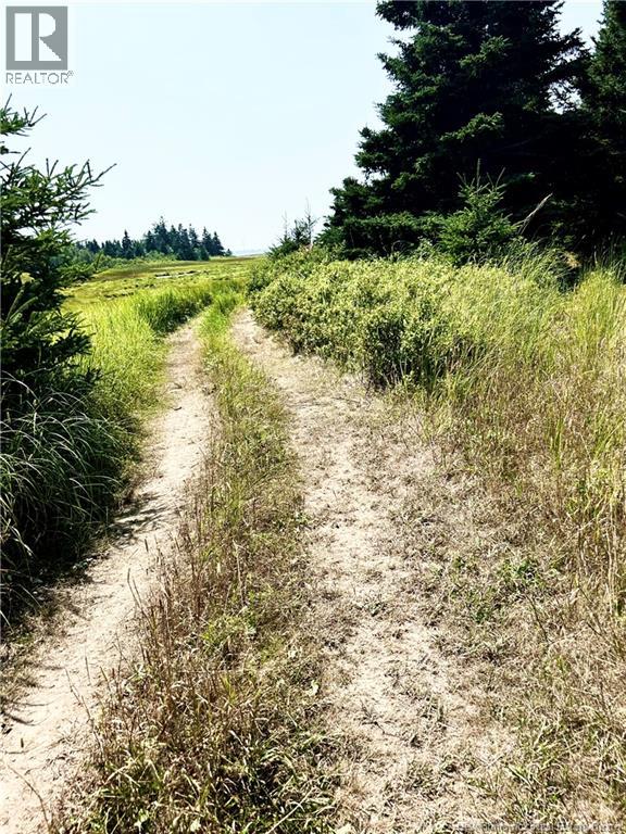 Lot Miscou Harbour, Miscou, New Brunswick  E8T 2E6 - Photo 5 - NB124093