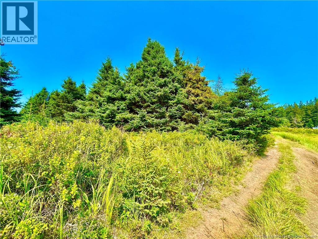 Lot Miscou Harbour, Miscou, New Brunswick  E8T 2E6 - Photo 7 - NB124093