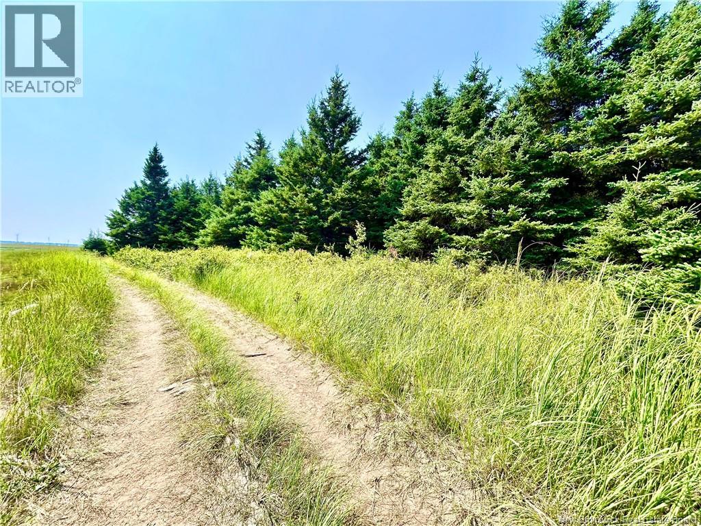Lot Miscou Harbour, Miscou, New Brunswick  E8T 2E6 - Photo 9 - NB124093