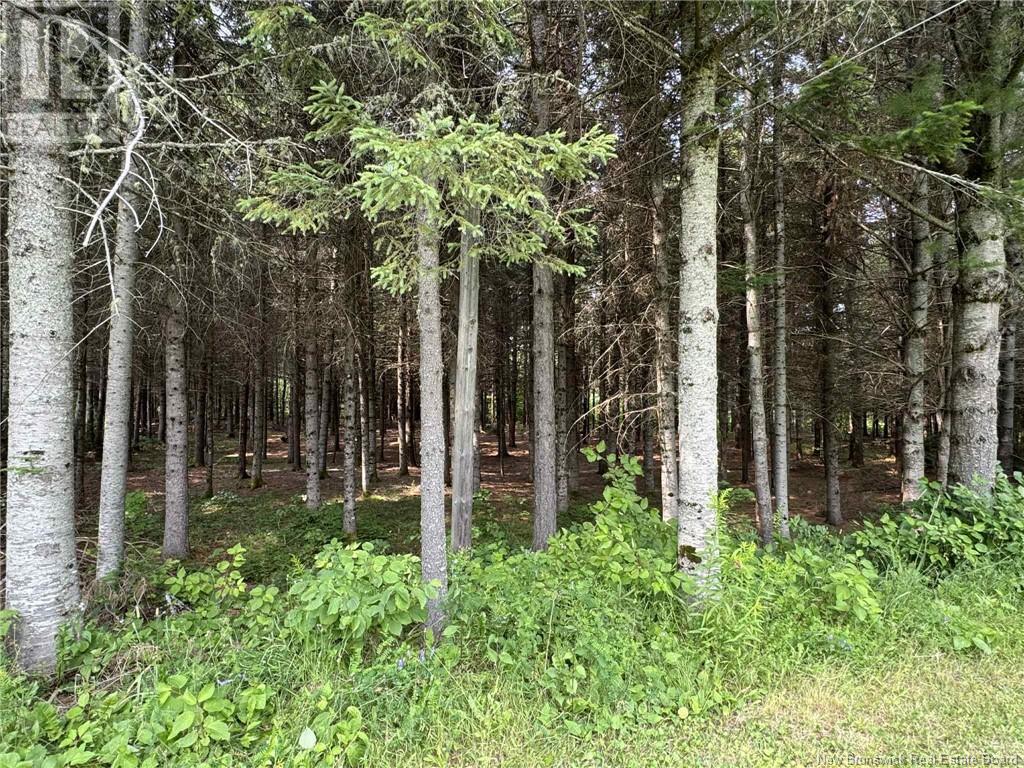 5698 Route 17, Saint-Quentin, New Brunswick  E8A 2J1 - Photo 34 - NB123931