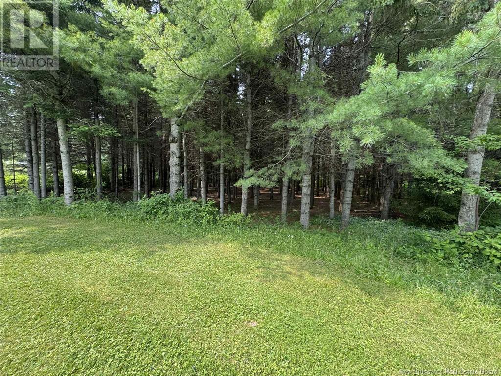 5698 Route 17, Saint-Quentin, New Brunswick  E8A 2J1 - Photo 35 - NB123931