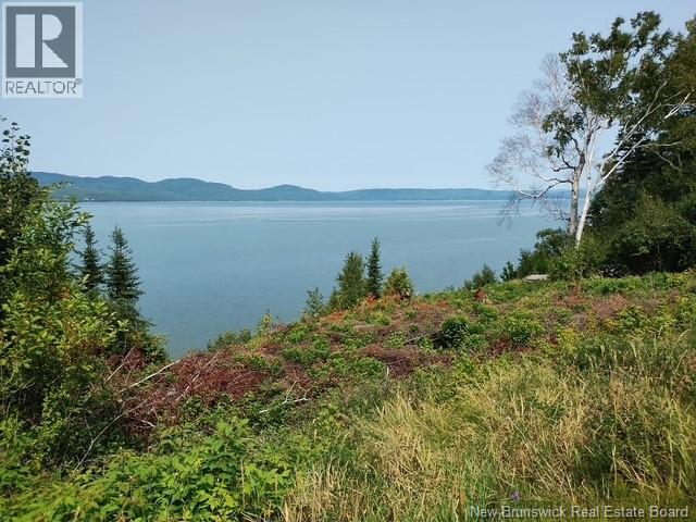 29898 134 Route, Dalhousie Junction, New Brunswick  E3N 6A7 - Photo 43 - NB124023