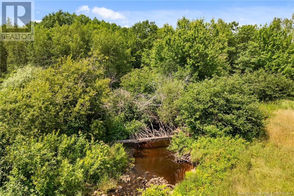 Lot Route 105, Mill Cove, New Brunswick  O0O 0O0 - Photo 12 - NB124120