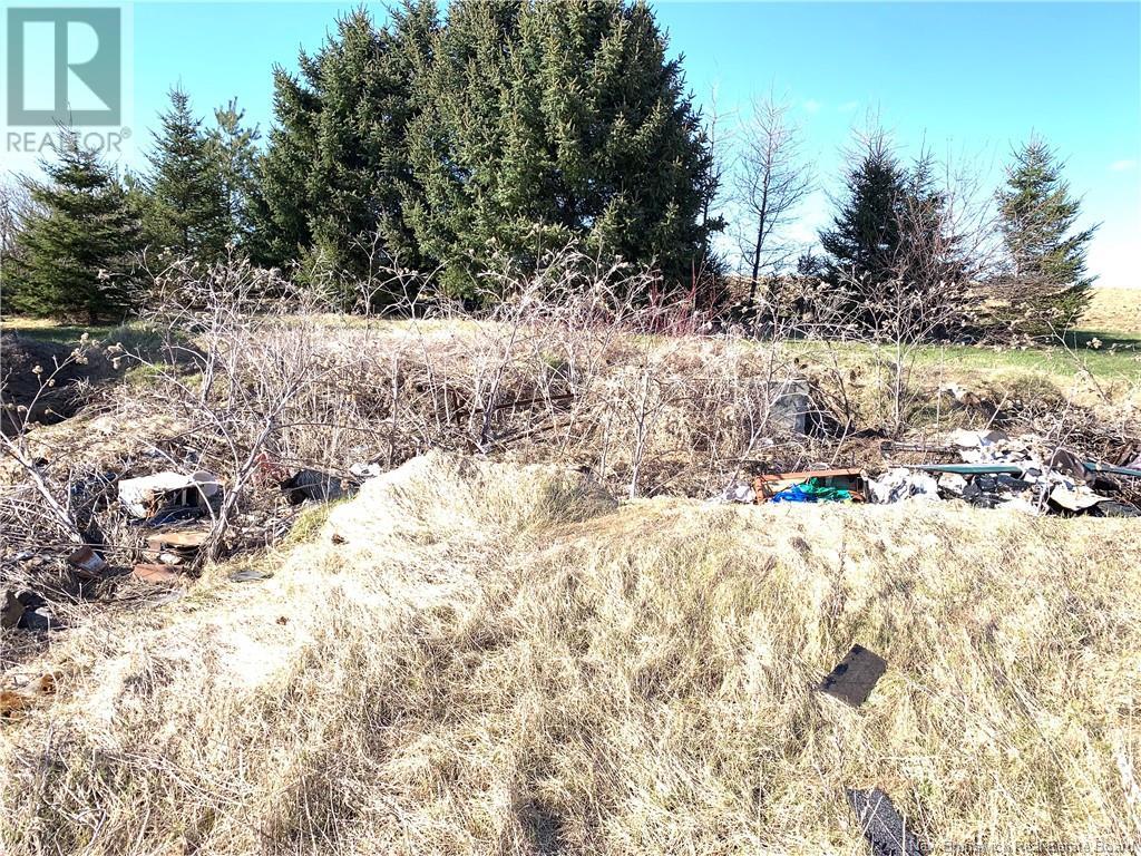 250 Brown Road, Four Falls, New Brunswick  E3Z 2E2 - Photo 29 - NB124102