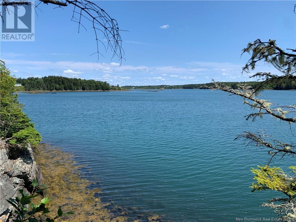 Land Delute Court, Welshpool, New Brunswick  E5E 1J6 - Photo 3 - NB124118