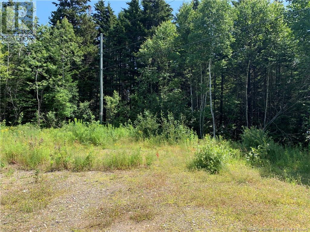 Land Delute Court, Welshpool, New Brunswick  E5E 1J6 - Photo 5 - NB124118
