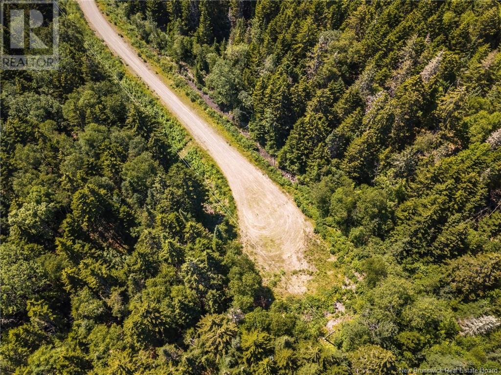 Land Delute Court, Welshpool, New Brunswick  E5E 1J6 - Photo 6 - NB124118