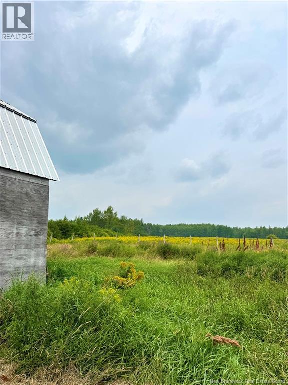 523 North Barnaby Road, Miramichi, New Brunswick  E1N 6E9 - Photo 27 - NB124253