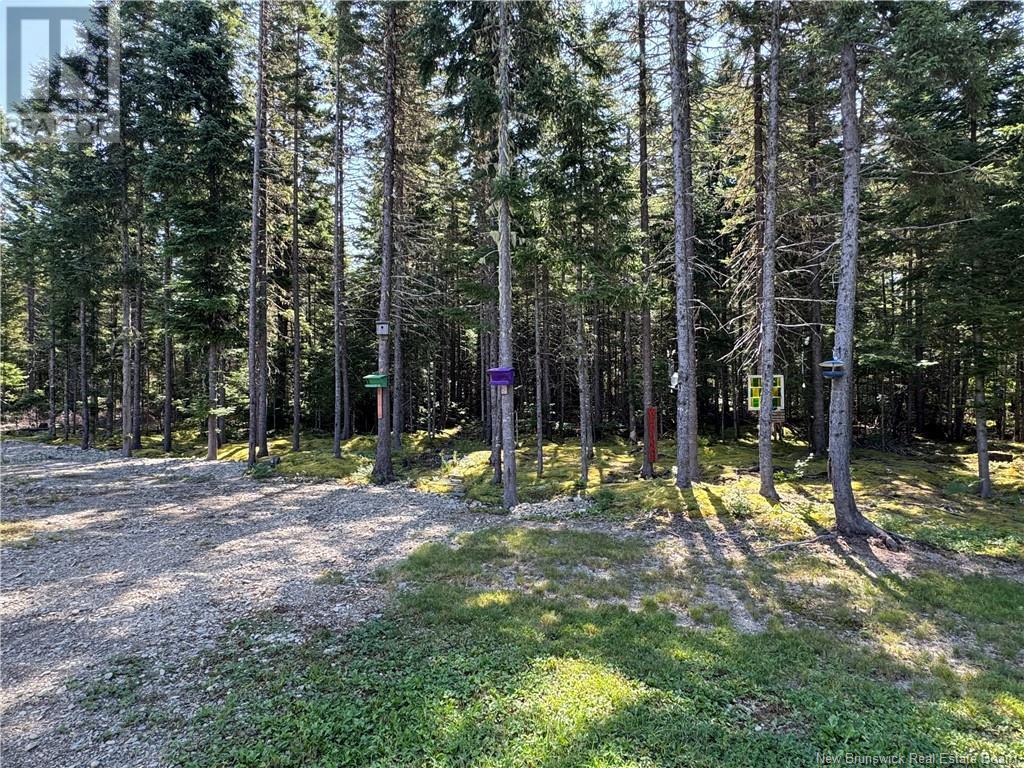 11 Burtt Cliff Road, Juniper, New Brunswick  E7L 1J1 - Photo 46 - NB124181