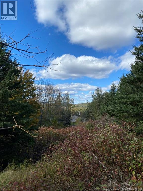 Lot Route 845 Route, Kingston, New Brunswick  E5N 1E7 - Photo 7 - NB124241