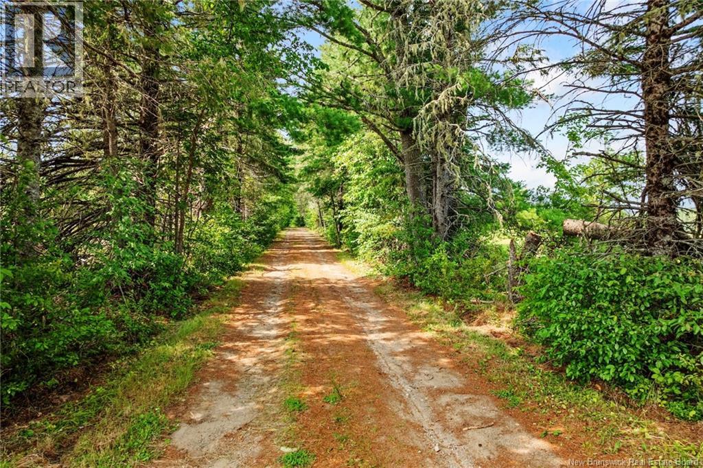 3090 Route 116, Salmon River Rd, New Brunswick  E4A 3M3 - Photo 45 - NB124247