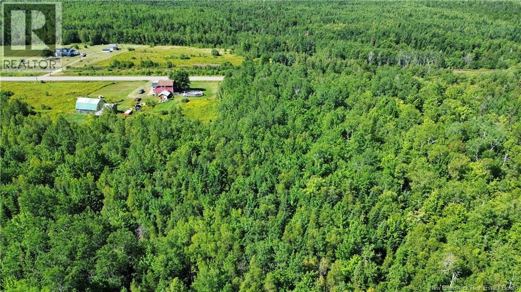 Lot 3 Route 126, Coal Branch, New Brunswick E4T 2J8 - Photo 3 - NB123947