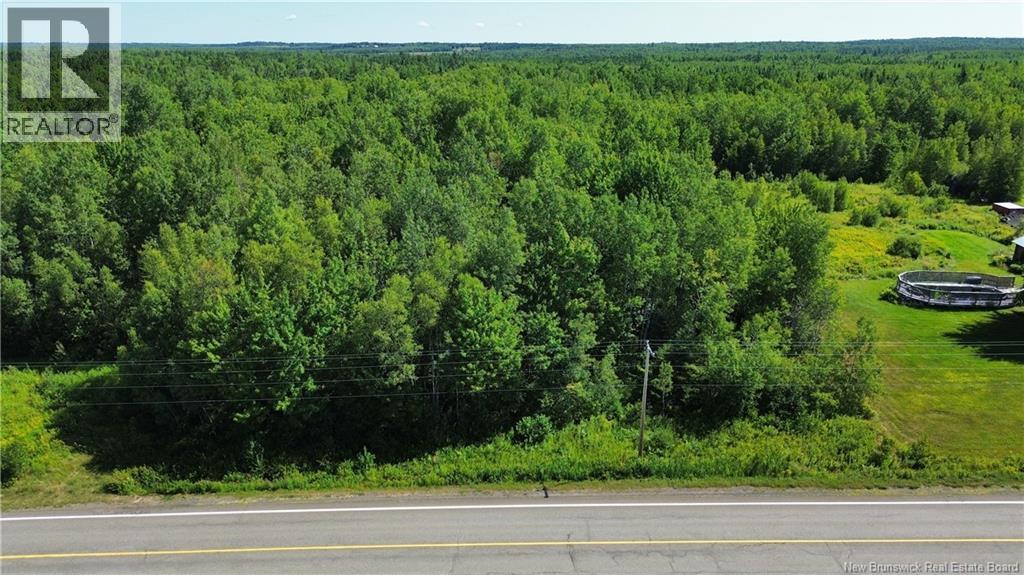 Lot 3 Route 126, Coal Branch, New Brunswick E4T 2J8 - Photo 4 - NB123947