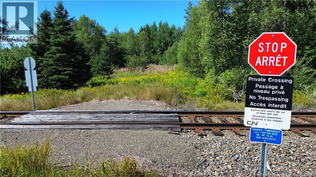 126 Route, Coal Branch, New Brunswick  E4T 2J4 - Photo 2 - NB124283
