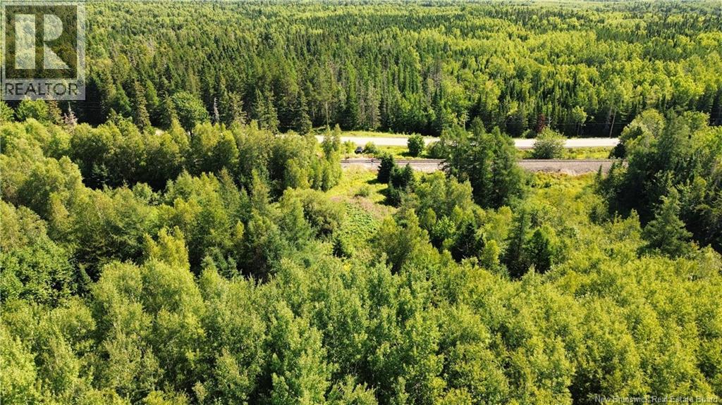 126 Route, Coal Branch, New Brunswick  E4T 2J4 - Photo 5 - NB124283