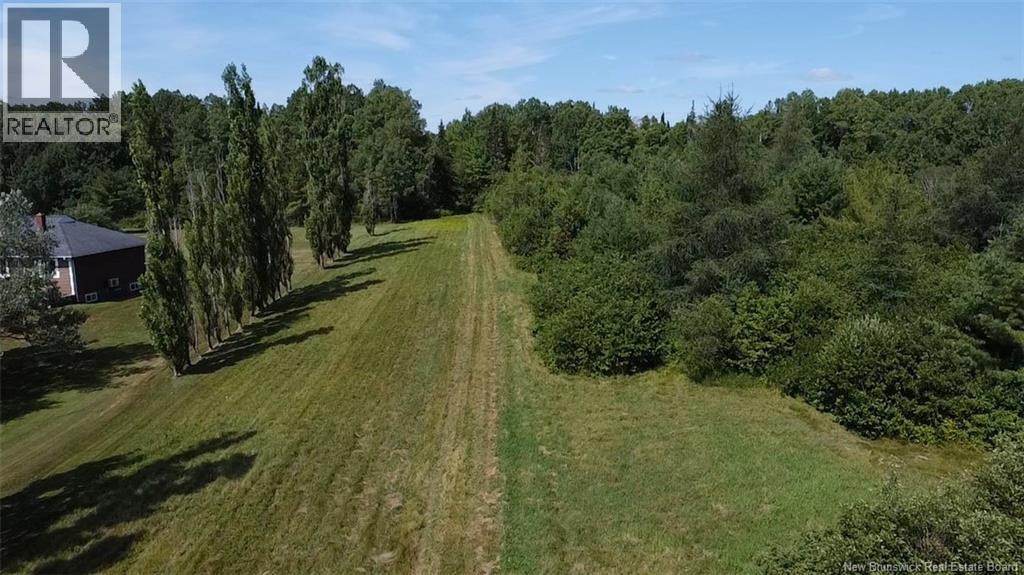76.8 Acres Little River, Little River, New Brunswick  E2A 6M7 - Photo 9 - NB124269