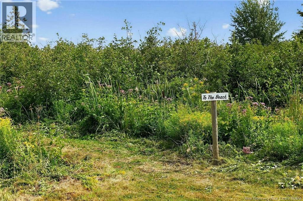 1878 Nb-950, Petit-Cap, New Brunswick  E4N 3A3 - Photo 9 - NB124213