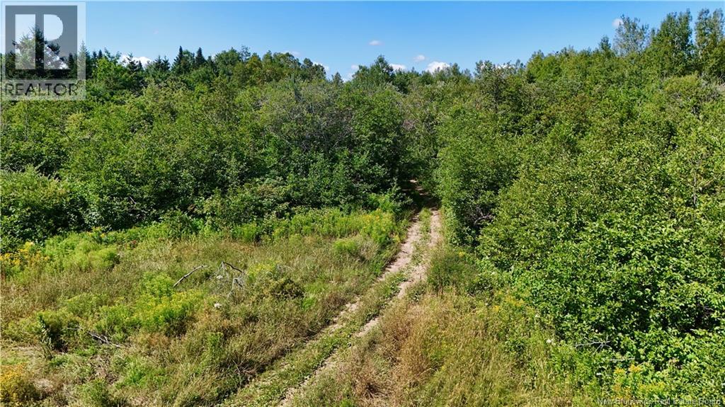 Lot 1 Rte 322, Robertville, New Brunswick  E8K 2T6 - Photo 8 - NB124279