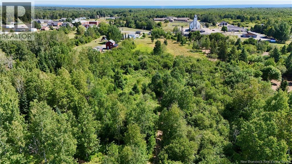 Lot 1 Rte 322, Robertville, New Brunswick  E8K 2T6 - Photo 9 - NB124279