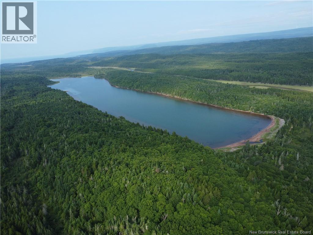 Lot Lockhart Lake, New Horton, New Brunswick  E4H 1W3 - Photo 4 - NB124293
