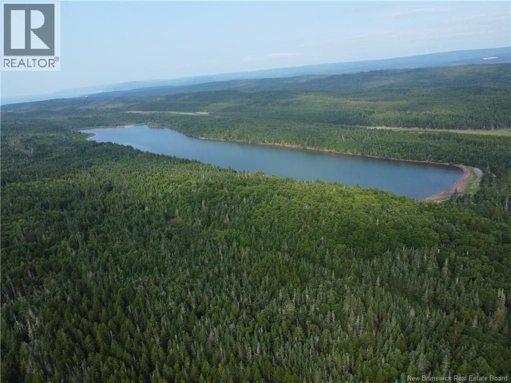 Lot Lockhart Lake, New Horton, New Brunswick  E4H 1W3 - Photo 5 - NB124293