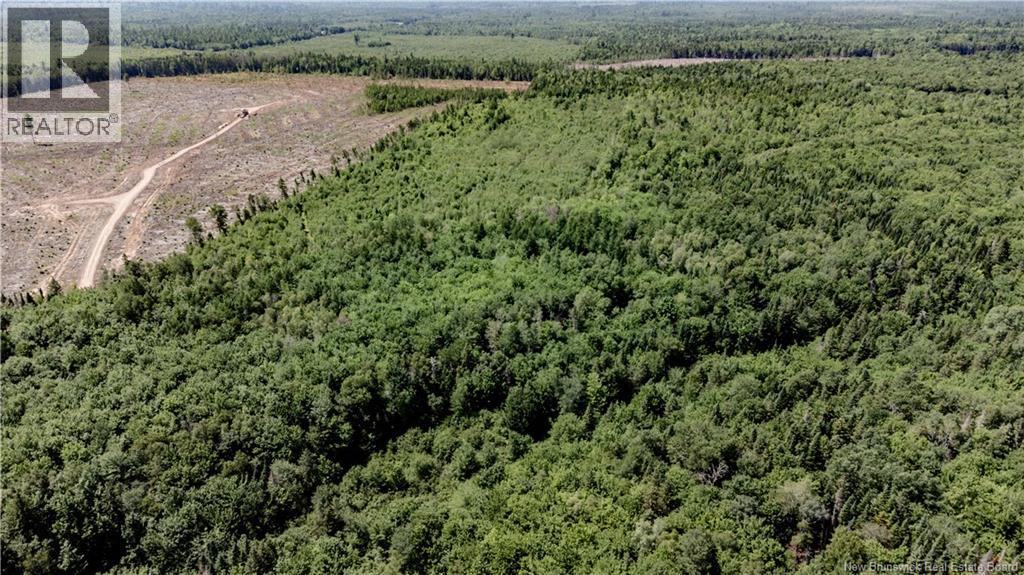 Vacant Lot Ch Nw Aldouane River Rd, Saint-Charles, New Brunswick  E4W 0A8 - Photo 2 - NB124234
