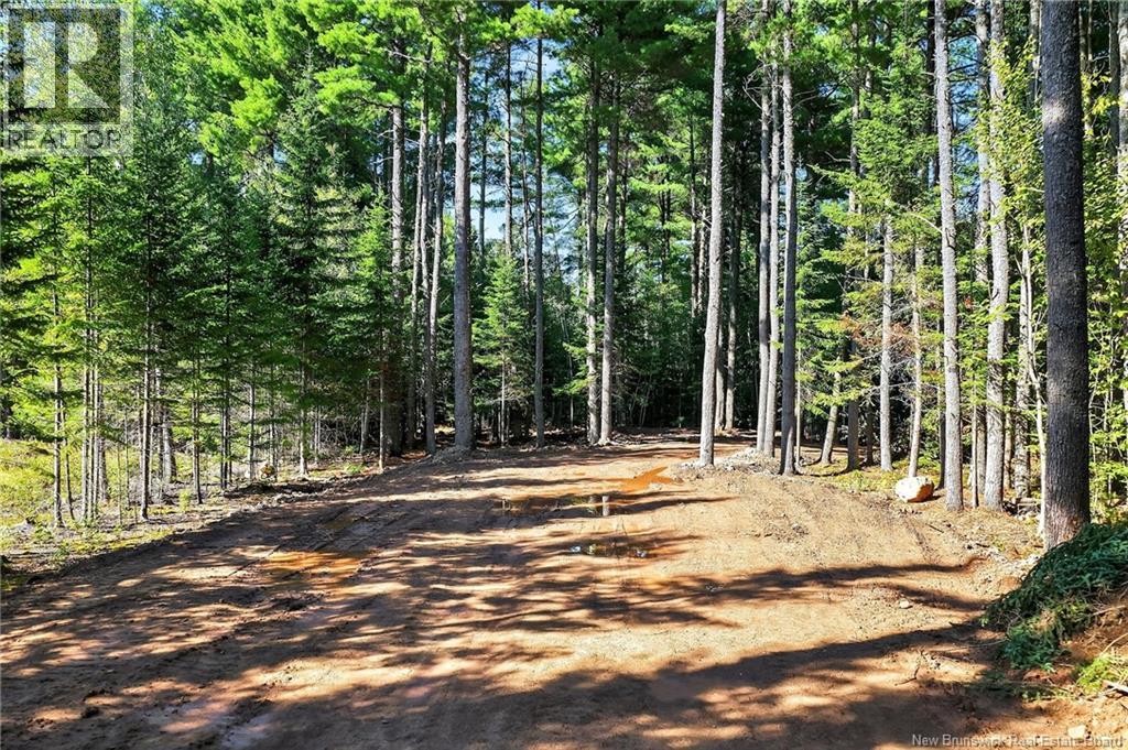 Lot 17-1 Des Pins Street, Aldouane, New Brunswick  E4W 5C1 - Photo 2 - NB124299