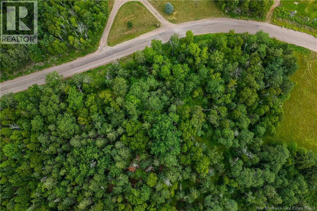 Lot 25-2 Green Road, Westcock, New Brunswick  E4L 2J3 - Photo 3 - NB124277