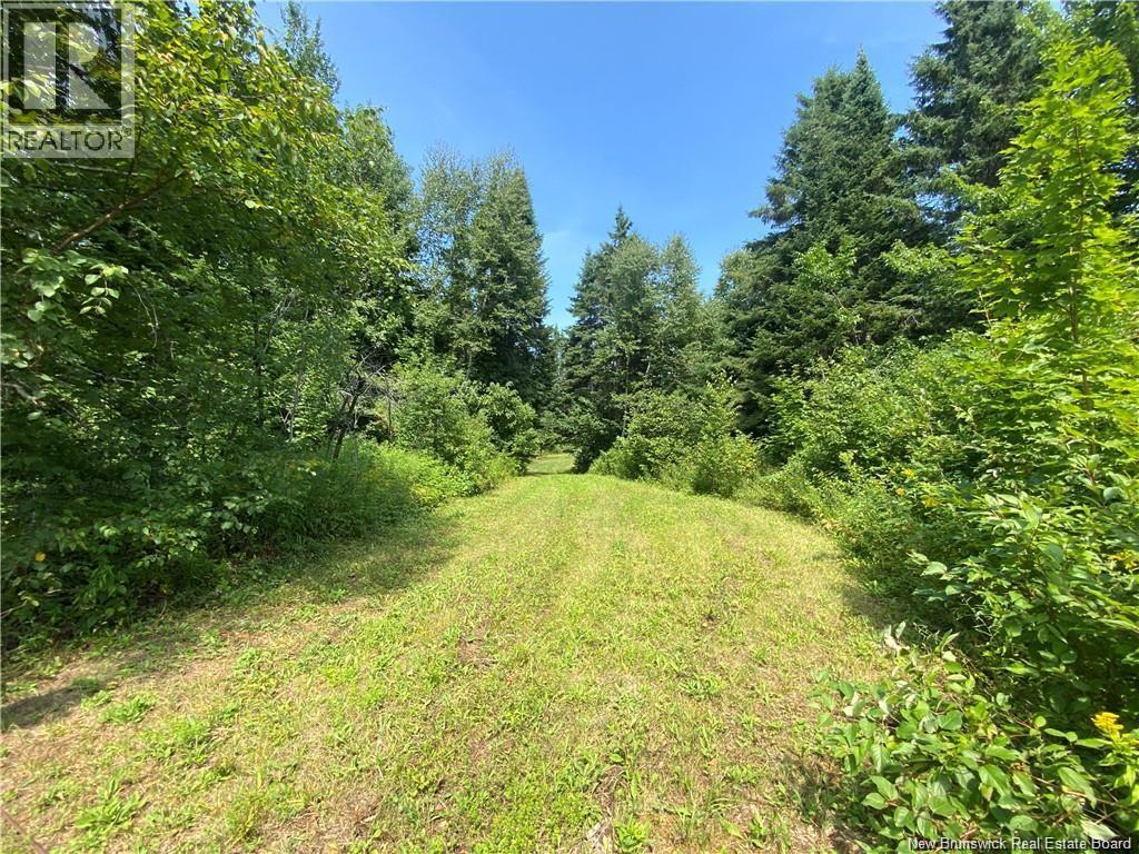 Land Archibald Road, Belledune, New Brunswick  E8G 1W5 - Photo 2 - NB124354