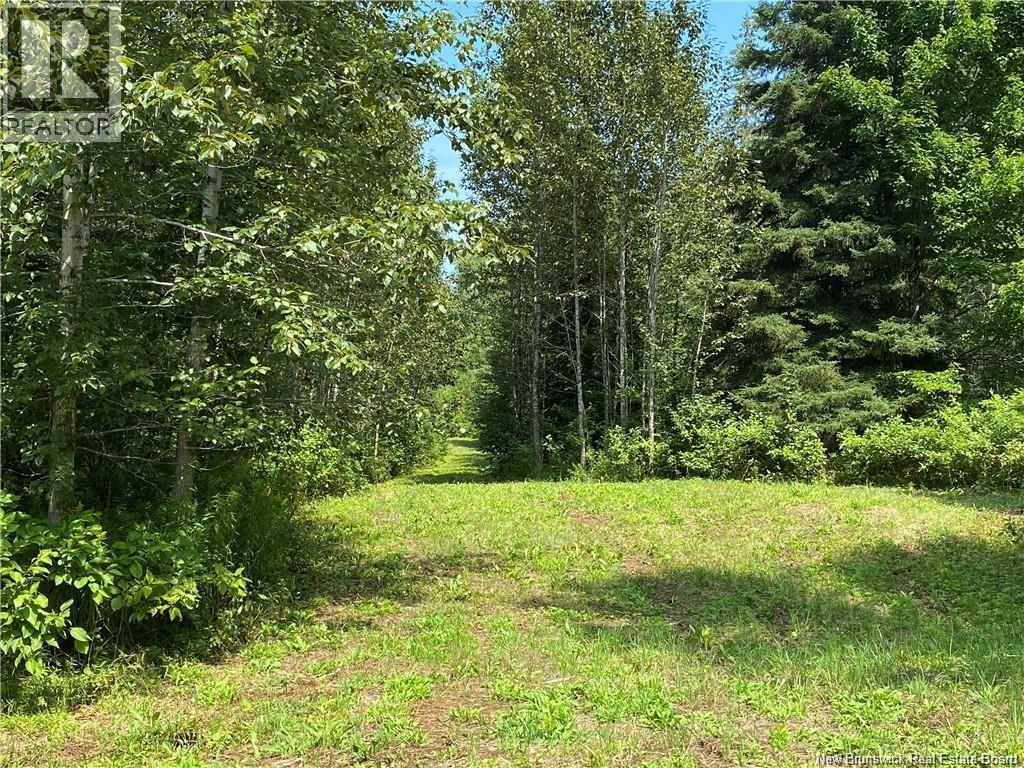 Land Archibald Road, Belledune, New Brunswick  E8G 1W5 - Photo 5 - NB124354