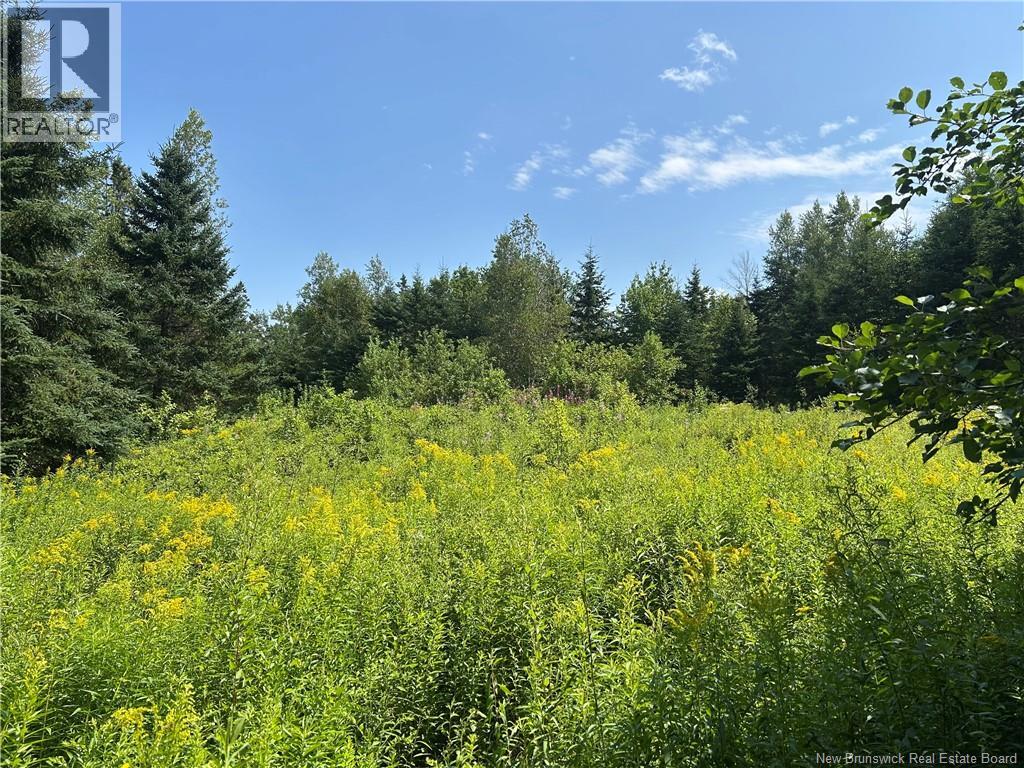 Mallery Road, Hammondvale, New Brunswick  E4E 3G1 - Photo 1 - NB124211