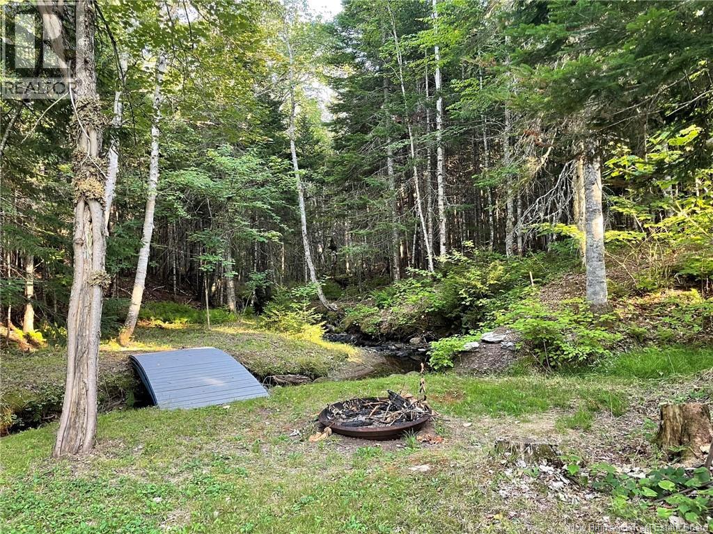 405 Little Dover Road, Memramcook, New Brunswick  E4K 2N4 - Photo 15 - NB124463