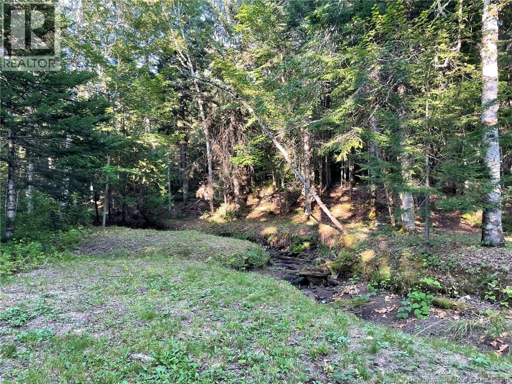 405 Little Dover Road, Memramcook, New Brunswick  E4K 2N4 - Photo 17 - NB124463