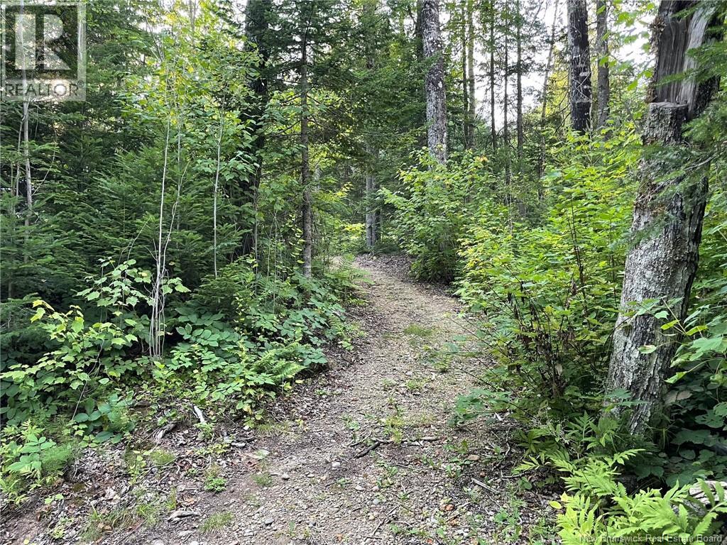 405 Little Dover Road, Memramcook, New Brunswick  E4K 2N4 - Photo 18 - NB124463