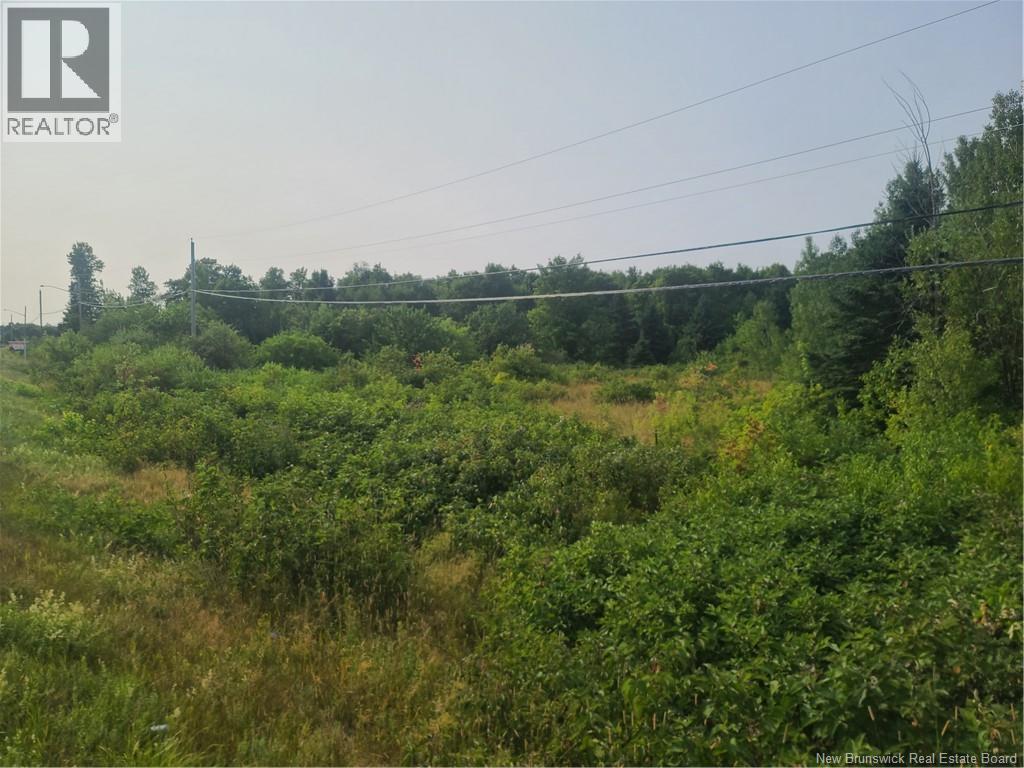 3.7 Acres Route 180, South Tetagouche, New Brunswick  E2A 7G2 - Photo 1 - NB124407