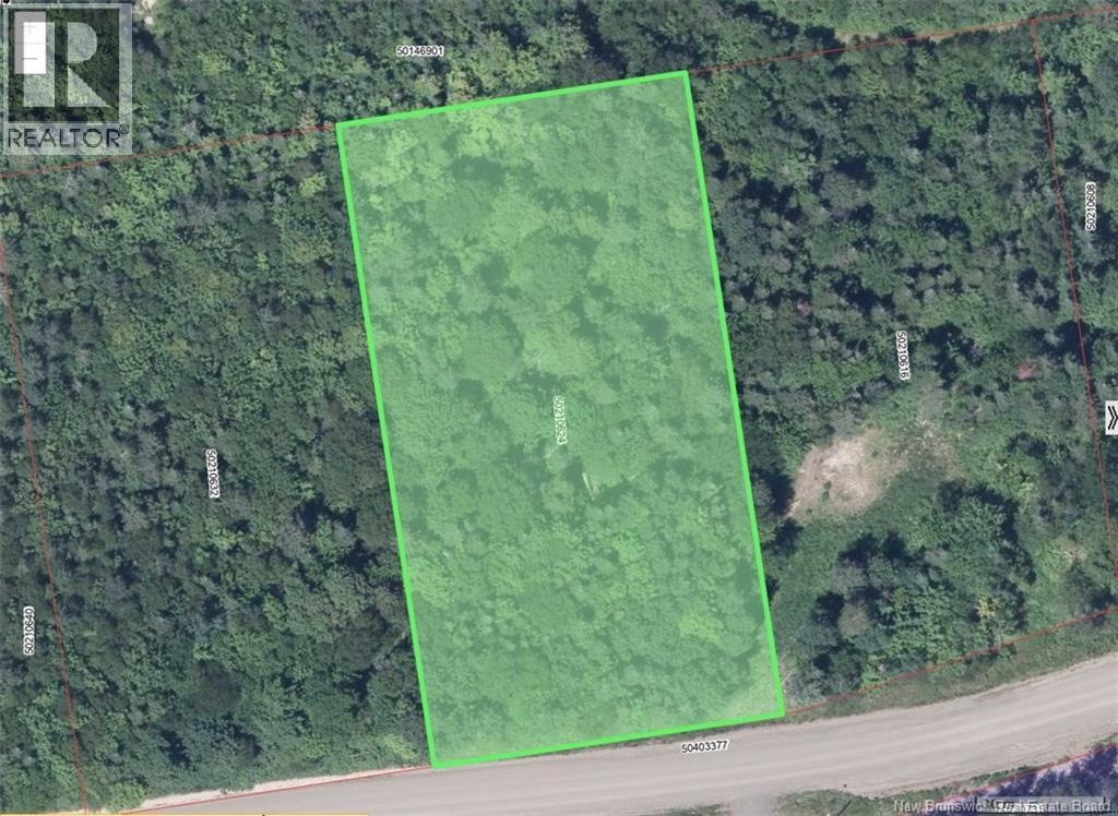 Lot Des Chalets Road, Saint-Arthur, New Brunswick  E3N 5P3 - Photo 3 - NB124258