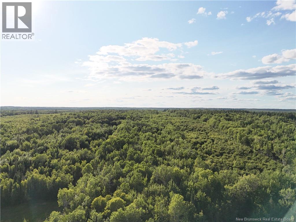 Lot Route 715, Coles Island, New Brunswick  E4C 2T1 - Photo 3 - NB124459