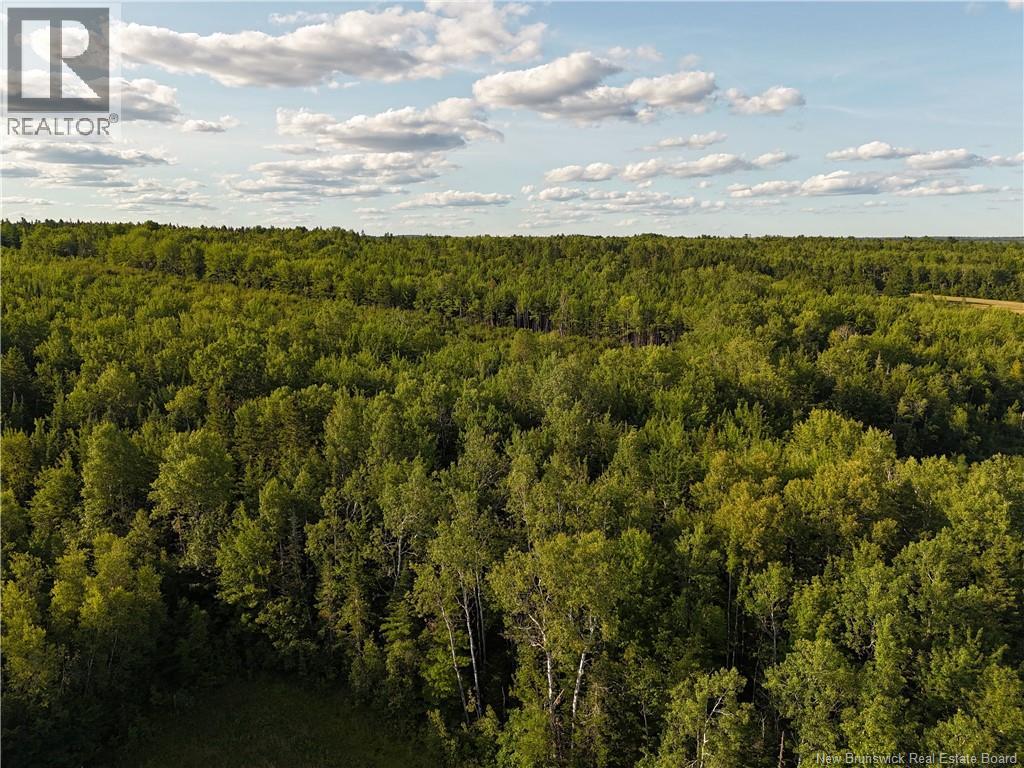 Lot Route 715, Coles Island, New Brunswick  E4C 2T1 - Photo 4 - NB124459