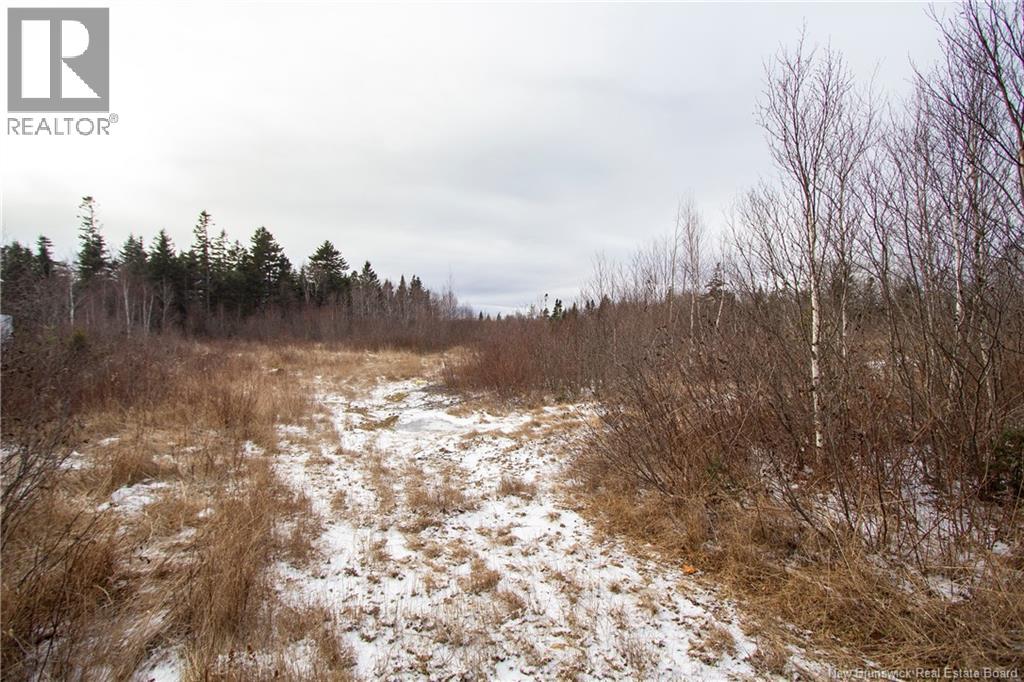 5745 Route 106, Frosty Hollow, New Brunswick  E4L 2E1 - Photo 2 - NB124561