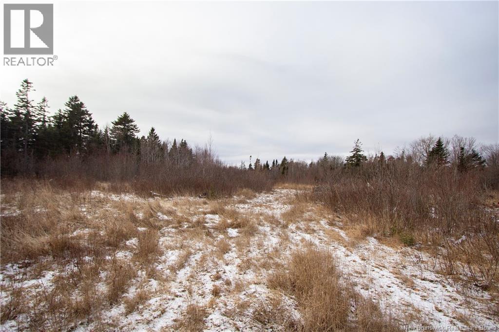 5745 Route 106, Frosty Hollow, New Brunswick  E4L 2E1 - Photo 3 - NB124561