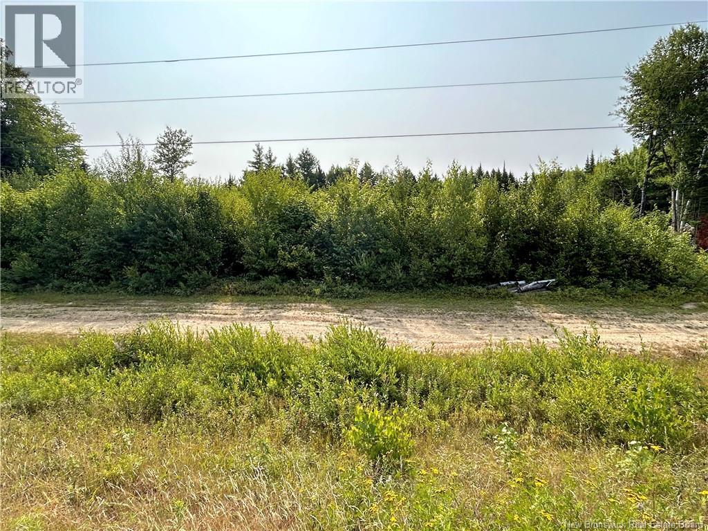 4000 Sq.m Coughlan Street, Miramichi, New Brunswick  E1N 5X5 - Photo 1 - NB124539