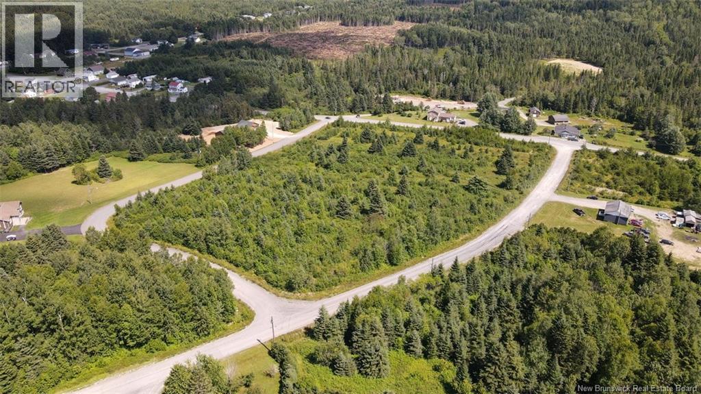 Lot 2 Des Erables Street, Kedgwick, New Brunswick  E8B 1B9 - Photo 4 - NB124519