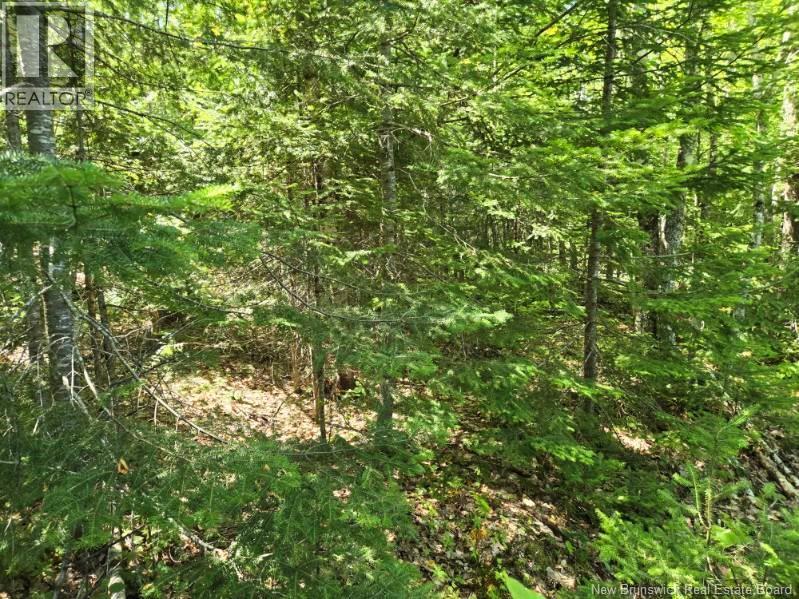 1 Morton Lane, Cumberland Bay, New Brunswick  E4A 3J3 - Photo 5 - NB124587