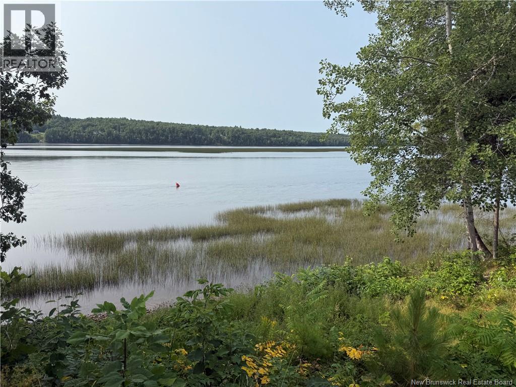 1175 Route 425, Whitney, New Brunswick  E1V 4L3 - Photo 27 - NB124450