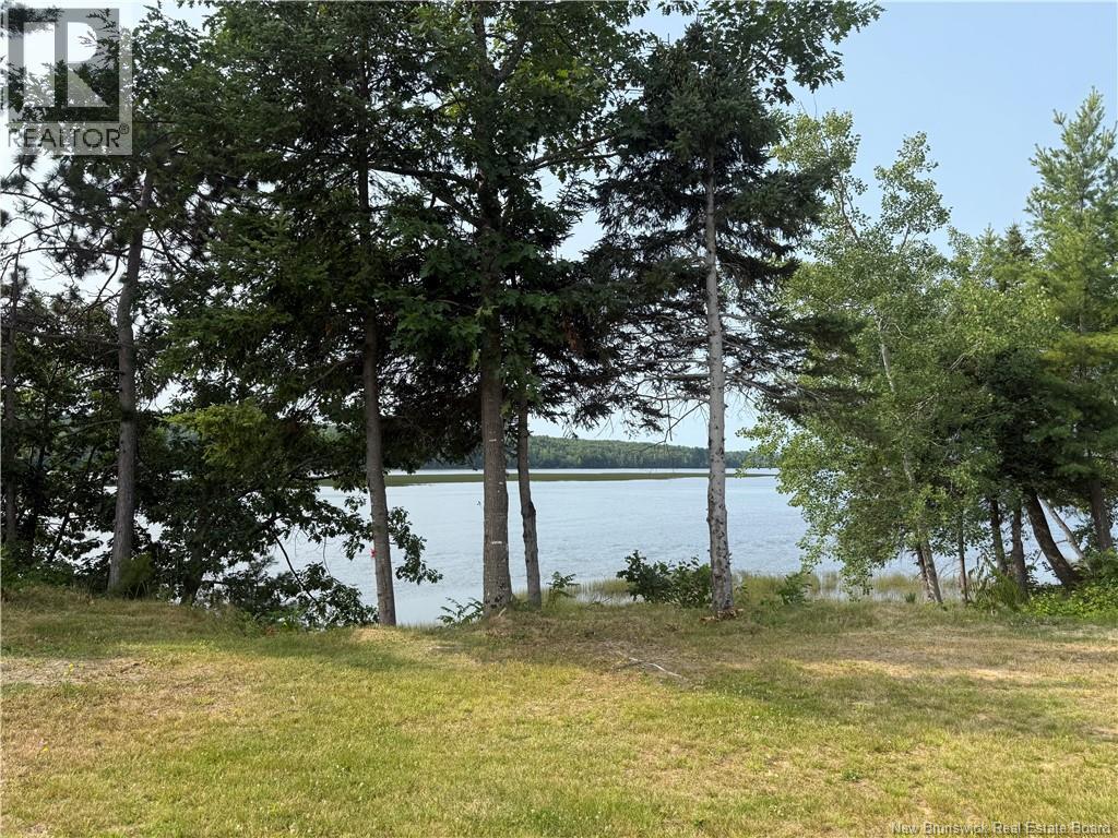1175 Route 425, Whitney, New Brunswick  E1V 4L3 - Photo 28 - NB124450
