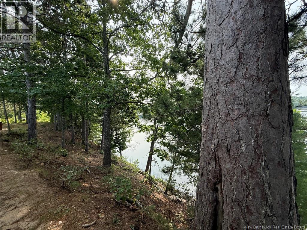 1173 Route 425, Whitney, New Brunswick  E1V 4L3 - Photo 16 - NB124436
