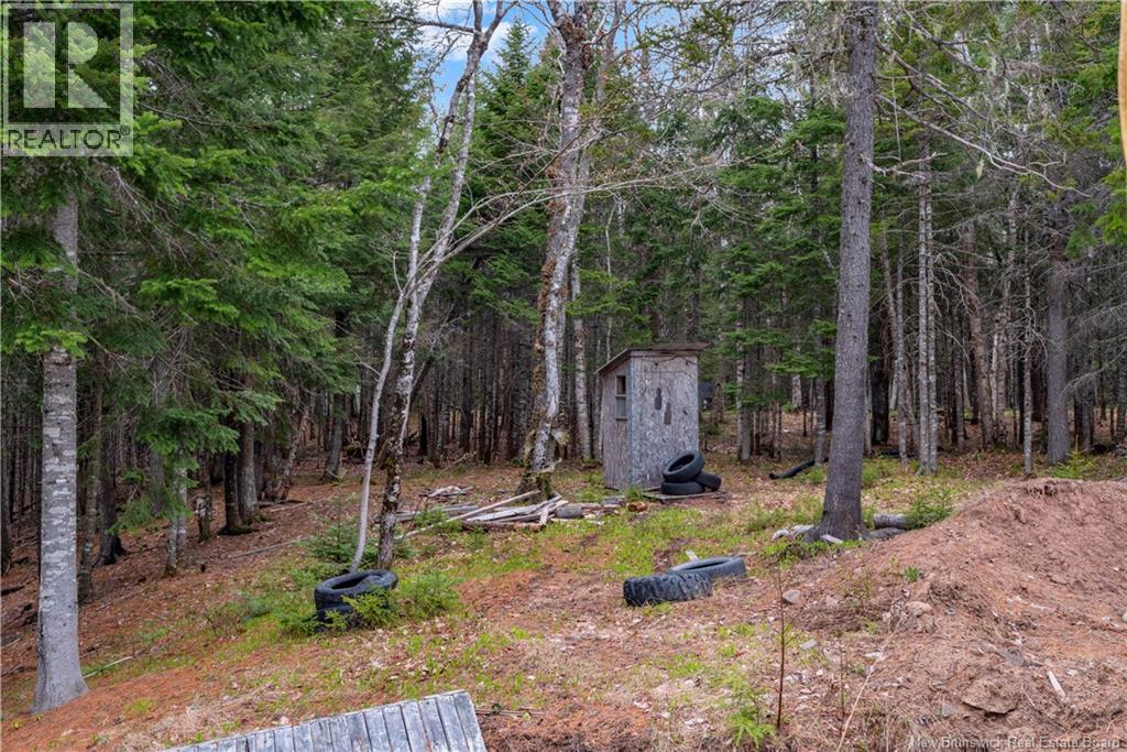 Camp Tweedie Brook Road, Kouchibouguac, New Brunswick  E4X 1M6 - Photo 21 - NB124575
