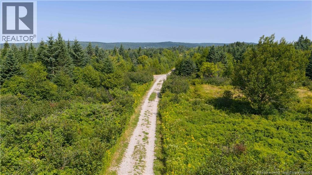 Access Road, Little Beach, New Brunswick  E5R 1L8 - Photo 14 - NB124648