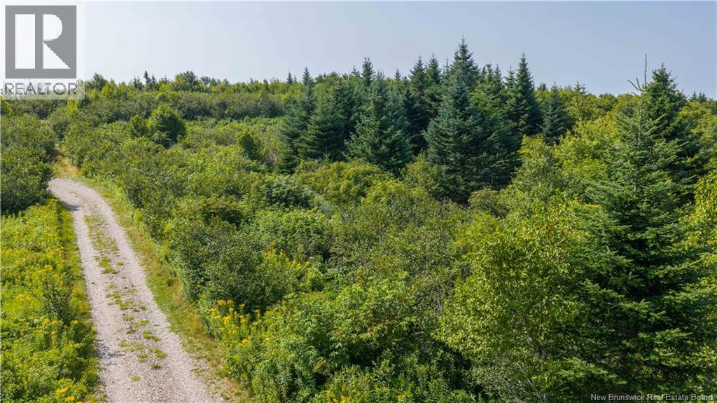 Access Road, Little Beach, New Brunswick  E5R 1L8 - Photo 15 - NB124648